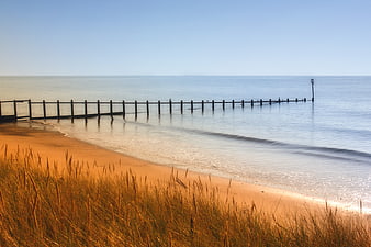 Serene Beach with Wooden Groynes and Golden Dune Grass