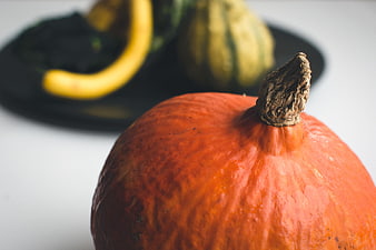 Close-up of orange pumpkin with blurred gourds in background
