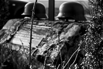 Black and white photo of WW2 helmets on a stone memorial with a thorny branch