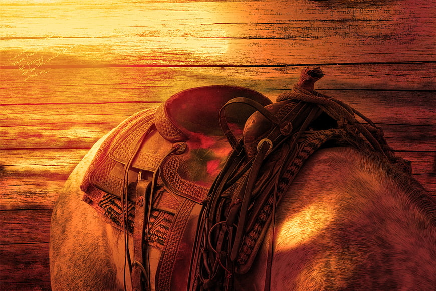 Vintage Western Horse Saddle on Wooden Barn Wall