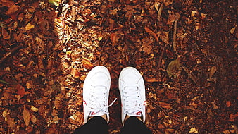 White Sneakers on Autumn Leaves