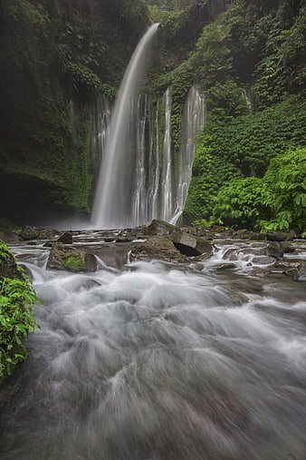 Majestic Waterfall in Lush Tropical Jungle Forest