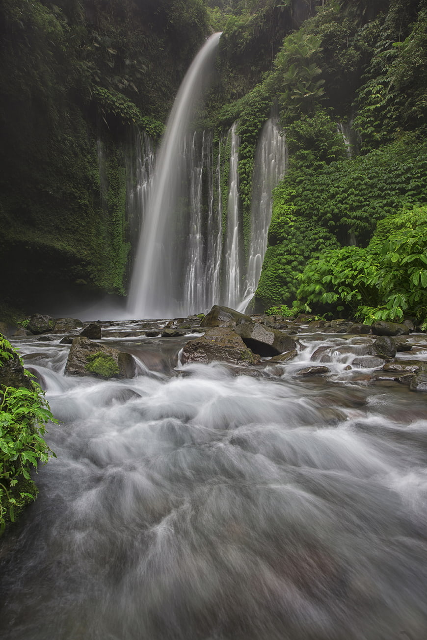 Majestic Waterfall in Lush Tropical Jungle Forest