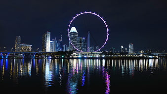 Singapore Flyer Night Skyline Reflection