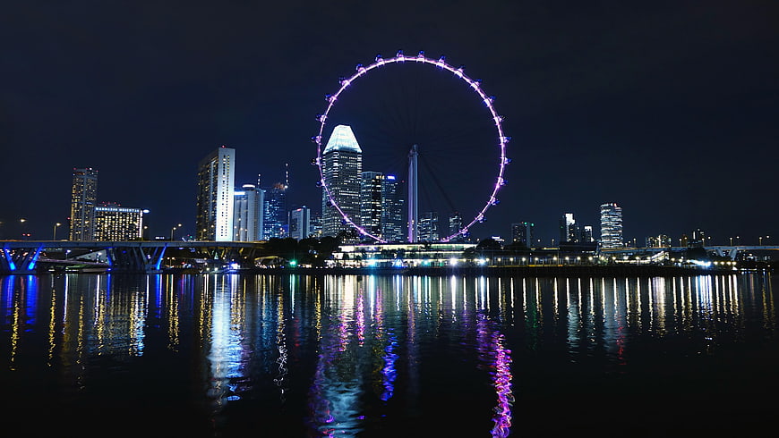 Singapore Flyer Night Skyline Reflection