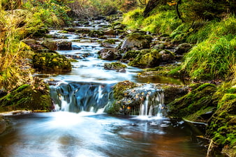 Serene Forest Stream with Mossy Rocks and Waterfall