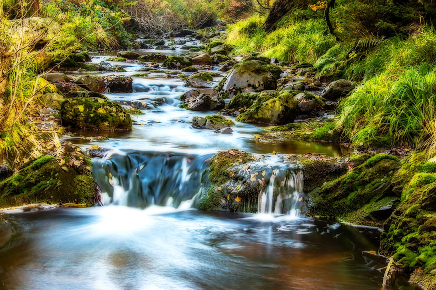 Serene Forest Stream with Mossy Rocks and Waterfall
