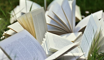 Open books lying in green grass on a sunny day