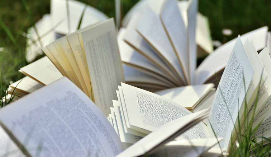 Open books lying in green grass on a sunny day