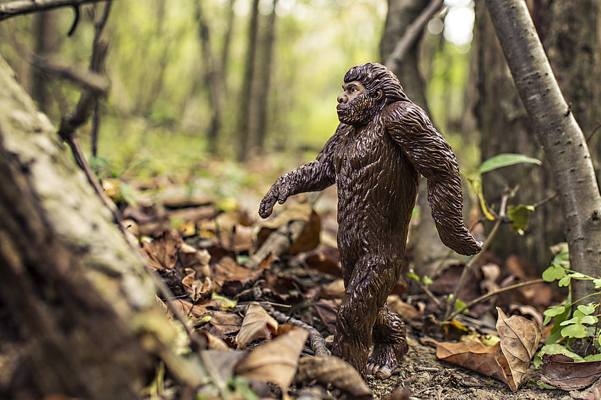 Bigfoot figurine standing in a forest with fallen leaves