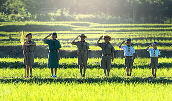 Group of young scouts saluting in a green rice paddy field