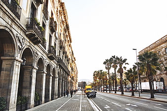 Wide Avenue with Arched Architecture and Palm Trees