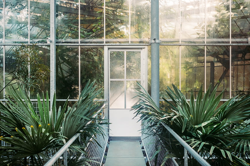 Modern greenhouse interior with lush tropical plants and glass walls