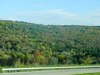 Autumn Forest Hills Viewed from Highway Roadside