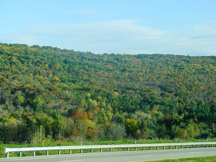Autumn Forest Hills Viewed from Highway Roadside