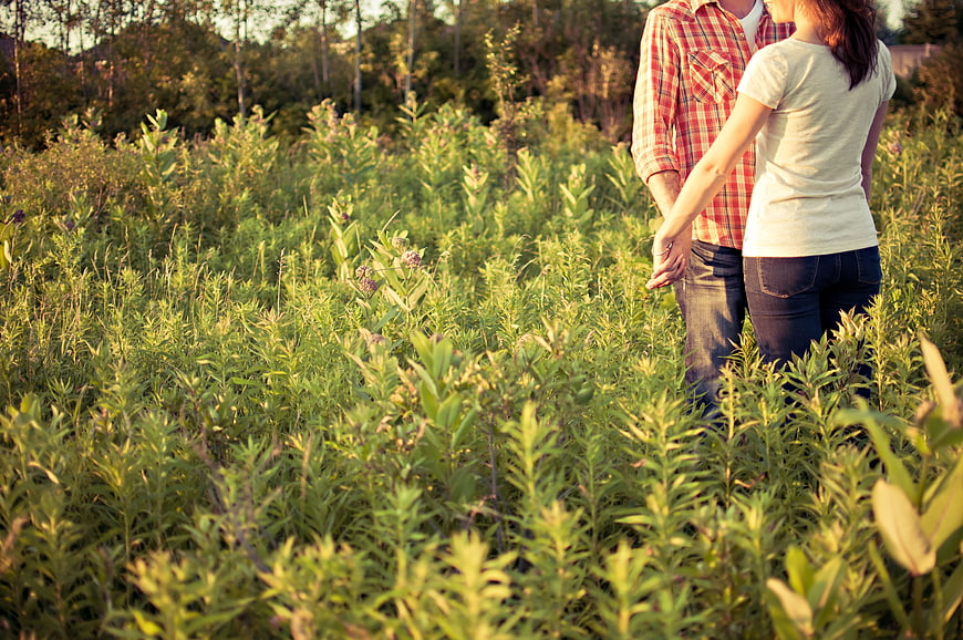 Couple holding hands in a sunlit meadow field