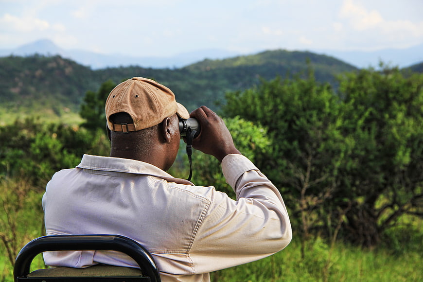 Safari Guide Observing Wildlife with Binoculars in African Landscape