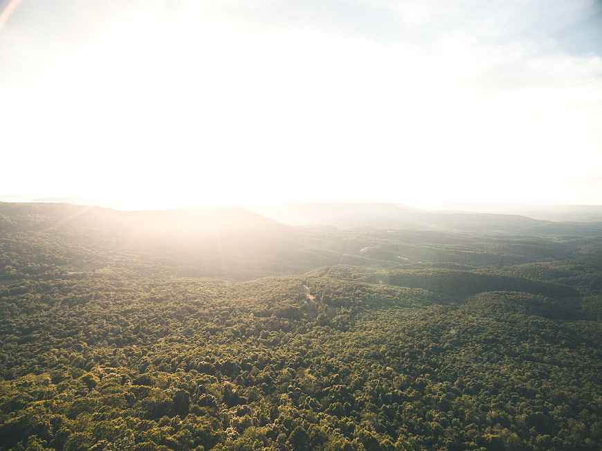 Aerial View of Sunlit Forest Hills and Rolling Landscape