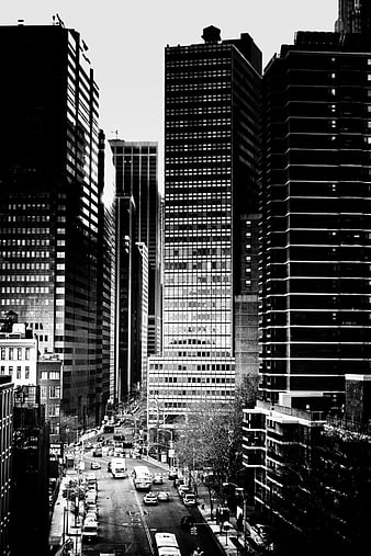 Black and White Urban Canyon Skyscrapers City Street