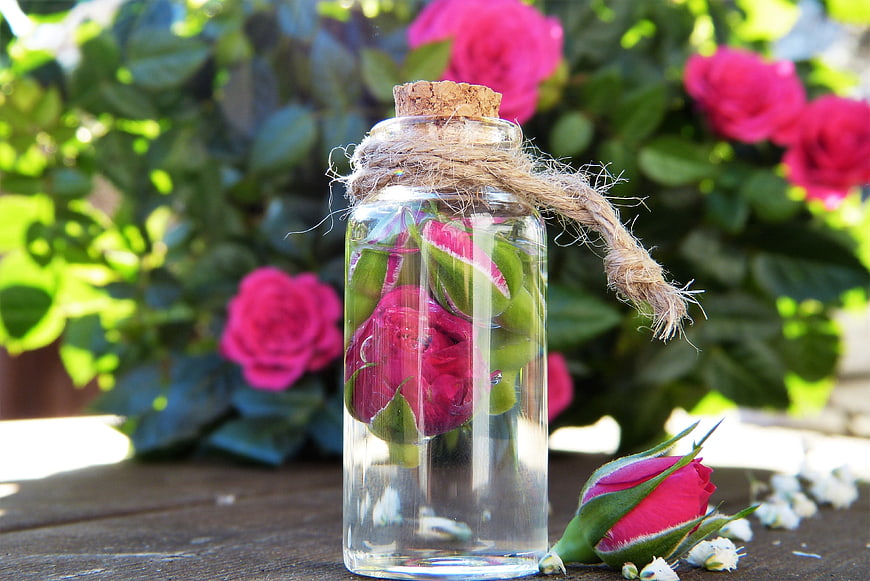 Pink rose bud in glass bottle with water and twine