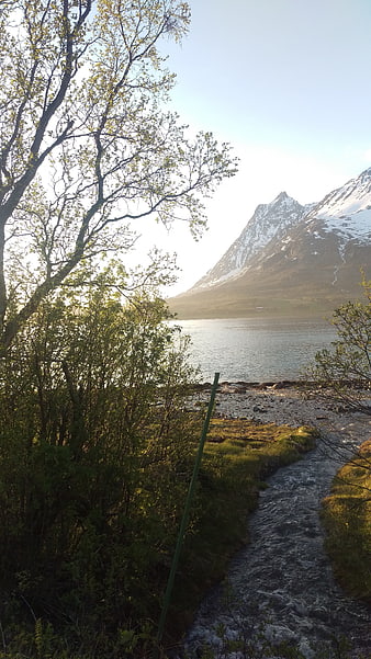Scenic Norwegian Fjord with Snow-Capped Mountain and Stream