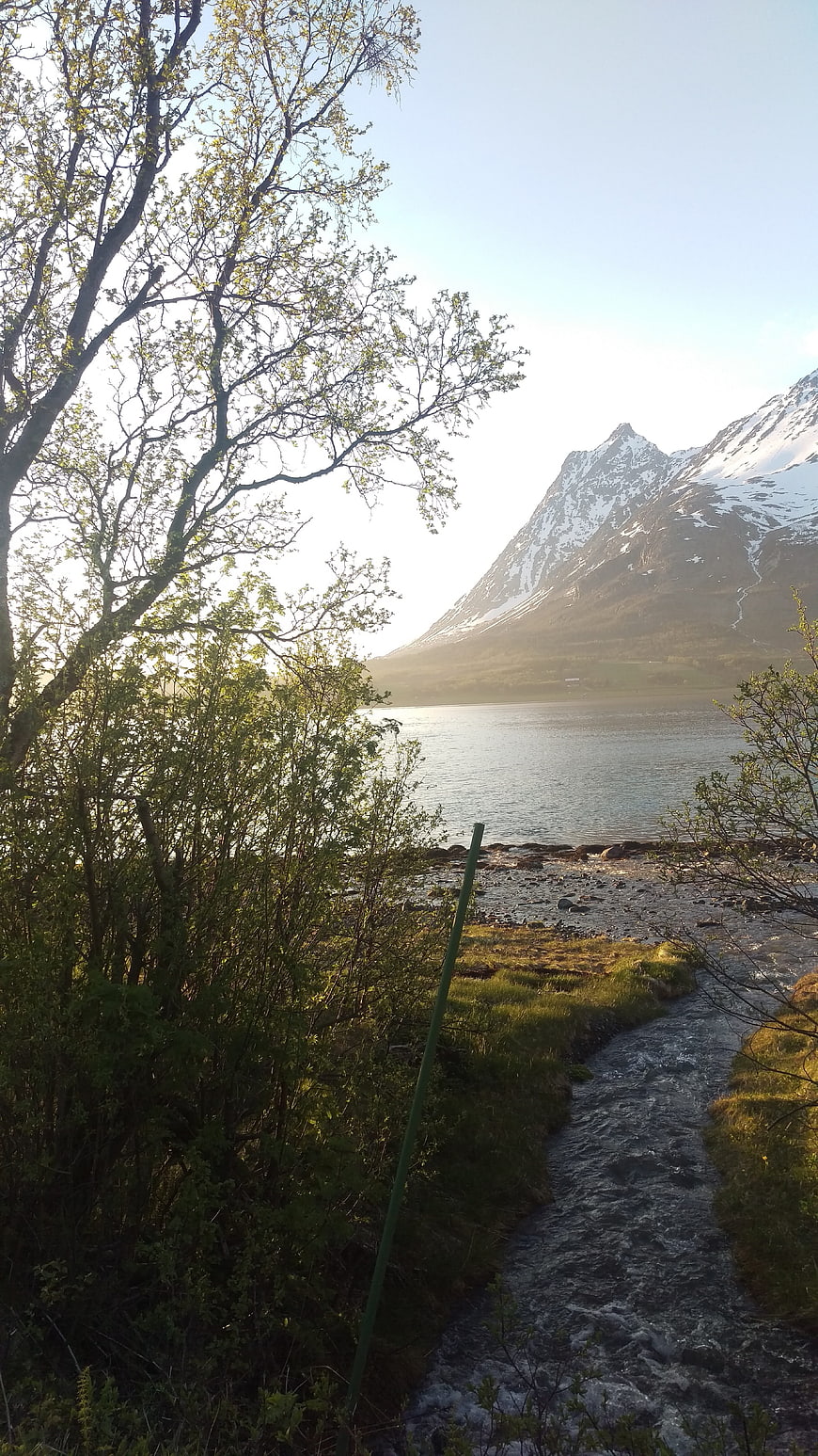 Scenic Norwegian Fjord with Snow-Capped Mountain and Stream