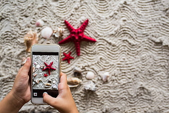 Hands taking photo of red starfish on sand with smartphone