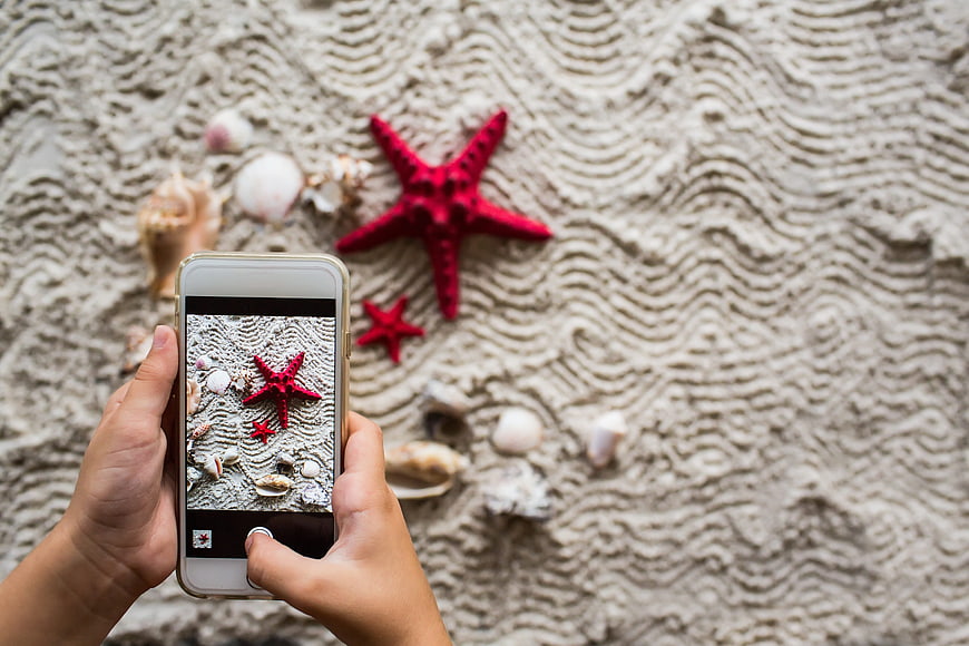 Hands taking photo of red starfish on sand with smartphone