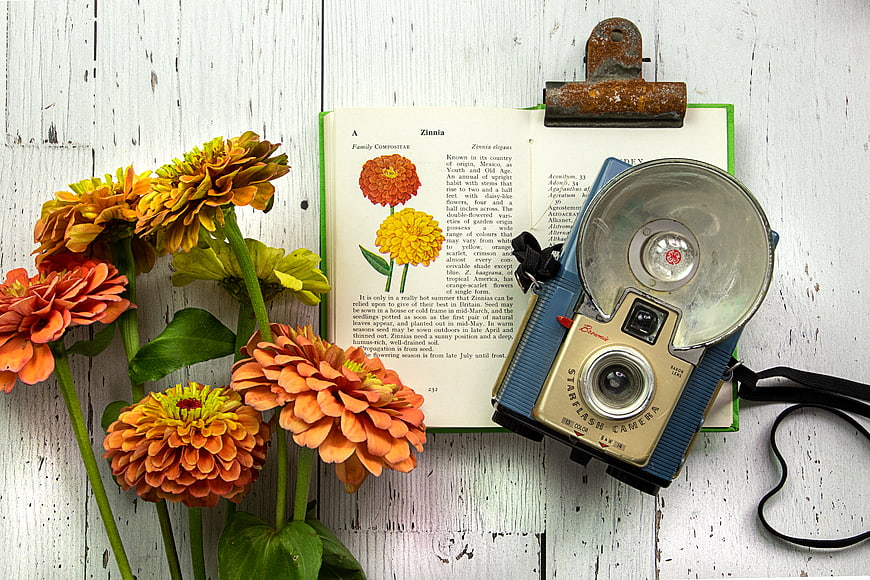 Vintage camera and zinnia flowers on open book