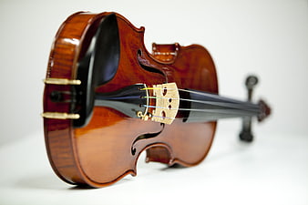 Close-up of a polished wooden violin on a white background