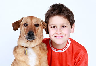 Smiling Boy With Brown Dog On White Background
