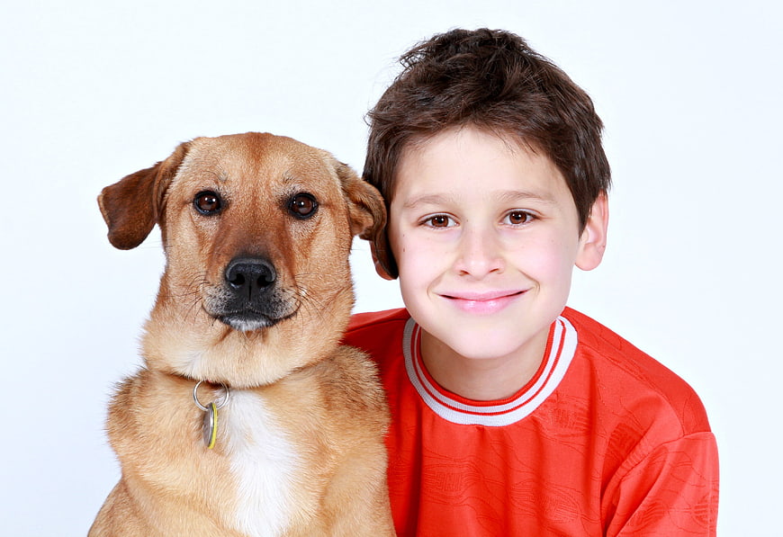 Smiling Boy With Brown Dog On White Background