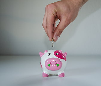 Hand dropping coin into pink piggy bank for savings
