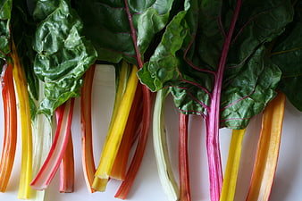 Fresh Rainbow Swiss Chard Stems on White Background