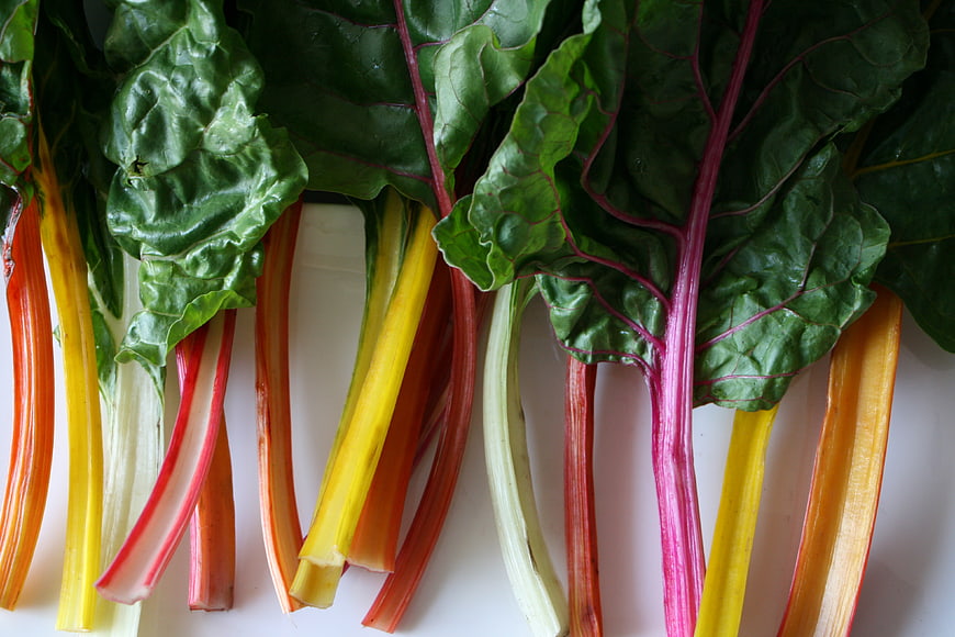 Fresh Rainbow Swiss Chard Stems on White Background