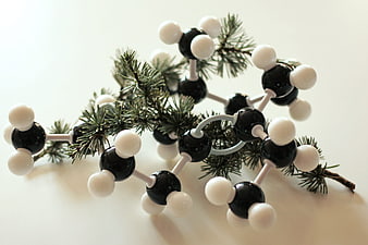 Beta-himachalen Molecule Model With Cedar Branch