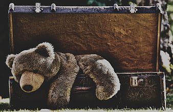 Vintage Teddy Bear Resting Inside Open Antique Suitcase