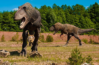 Life-size T-Rex and Allosaurus dinosaur models in park