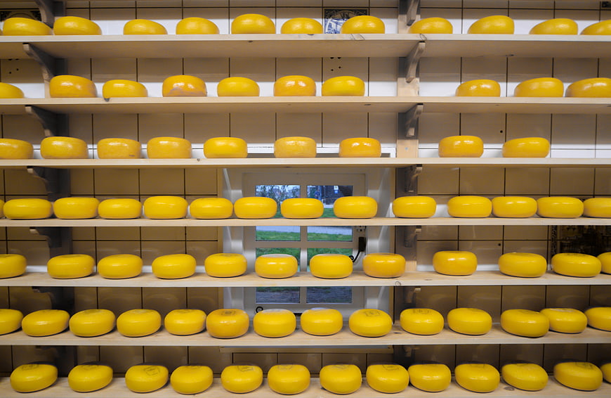 Rows of yellow Gouda cheese wheels on wooden shelves