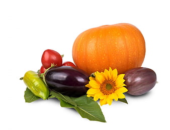 Autumn Vegetable Still Life With Pumpkin, Eggplant, And Sunflower
