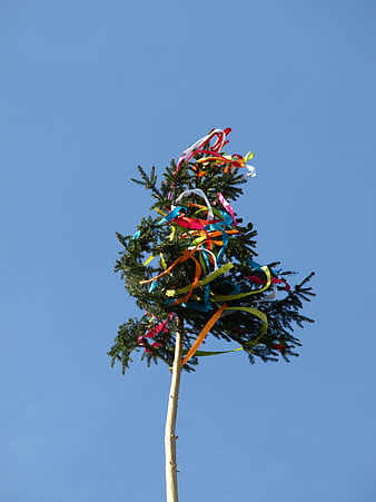 Traditional Maypole Tree With Colorful Ribbons Against Blue Sky