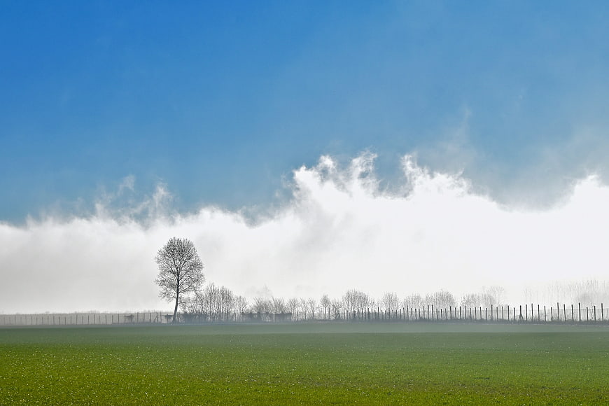 Misty green field with blue sky and foggy tree line