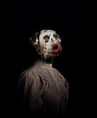 Dalmatian dog portrait in vintage shirt on black background