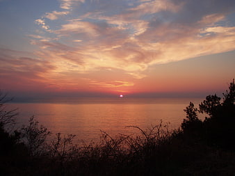 Sunset over the sea with silhouetted coastal vegetation