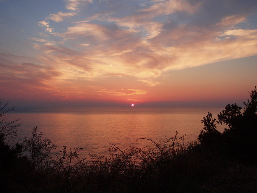 Sunset over the sea with silhouetted coastal vegetation