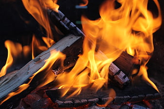 Close-up of burning wood logs with bright orange flames