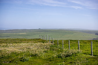 Scenic green rolling hills with wooden fence and wildflowers