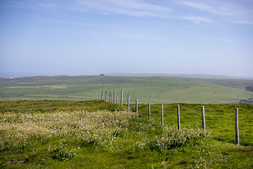 Scenic green rolling hills with wooden fence and wildflowers