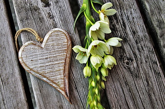 Rustic wooden heart and white flowers on weathered deck boards