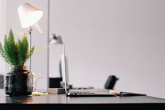 Minimalist Workspace with Laptop and Plant